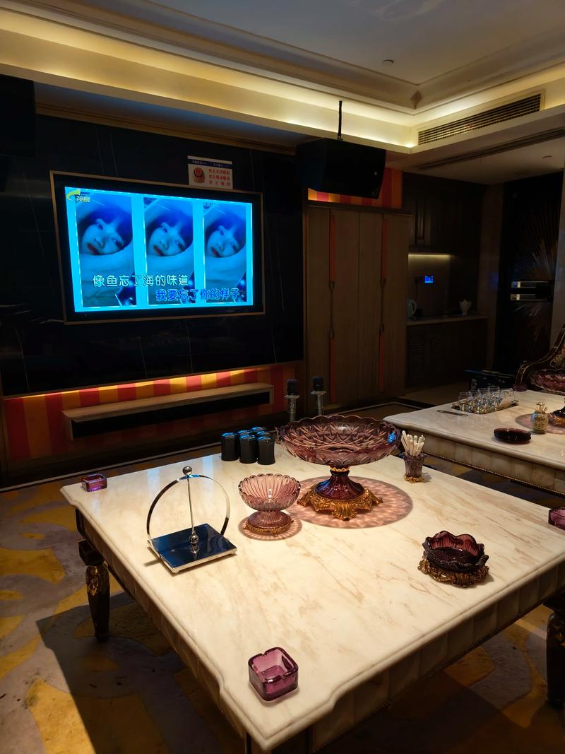 益阳商务ktv环境好服务优质选择推荐-资阳区ktv预订